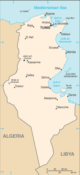 Mapa territorial global de Túnez Mapa del territorio actual de Túnez