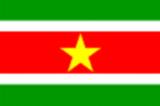 Bandera actual de Suriname